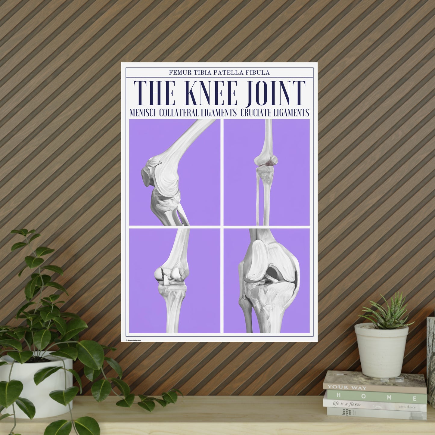 The Knee Joint Poster