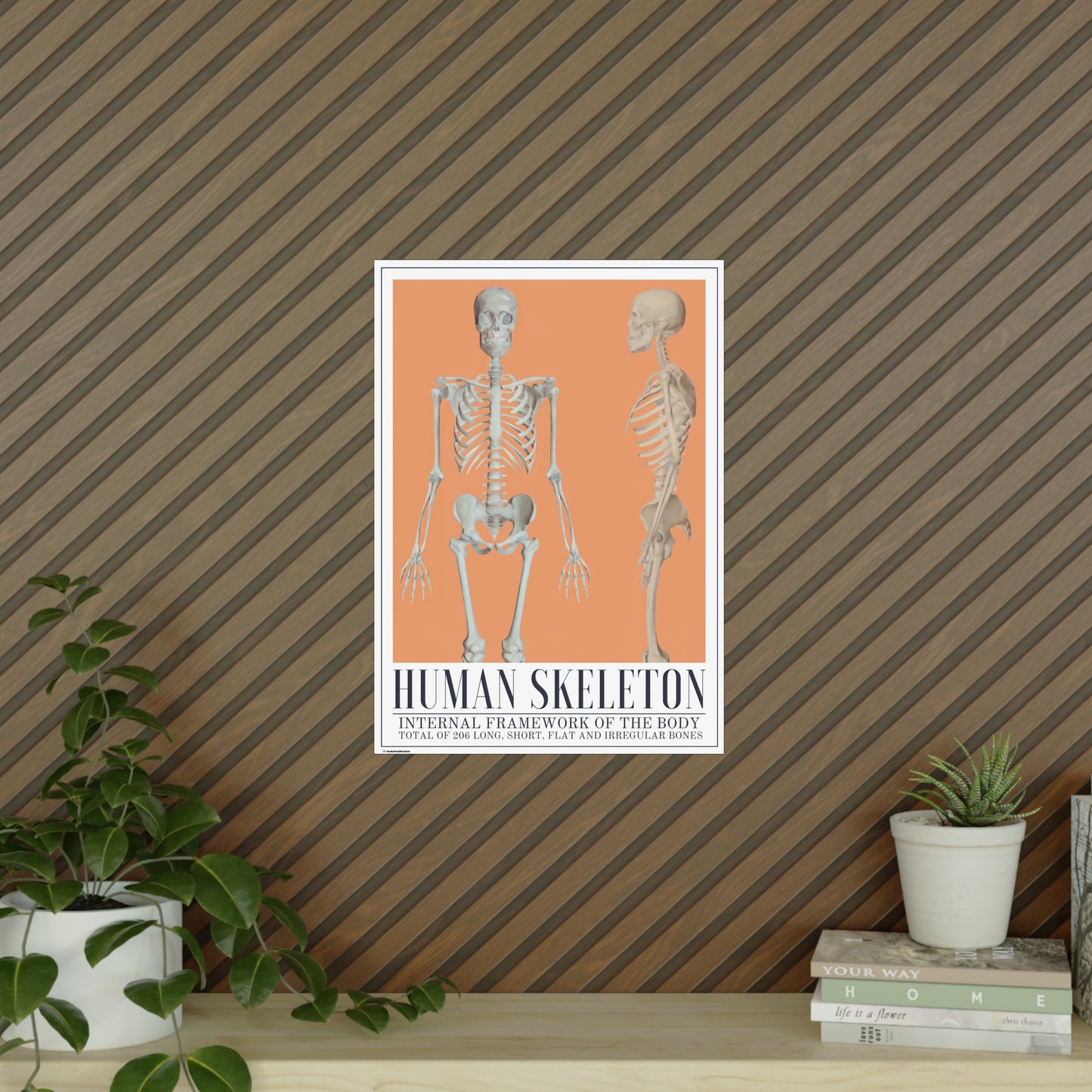 The Human Skeleton Poster