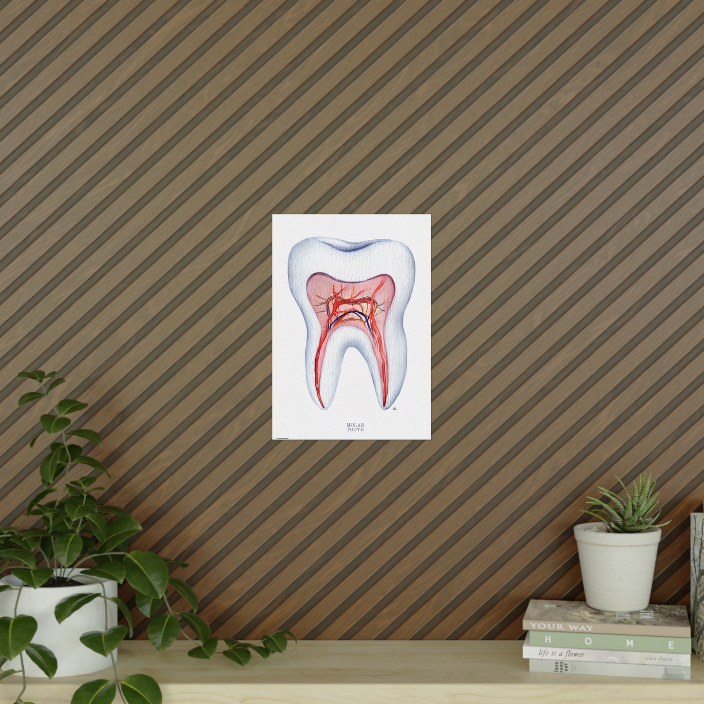 Vintage Molar Tooth Poster