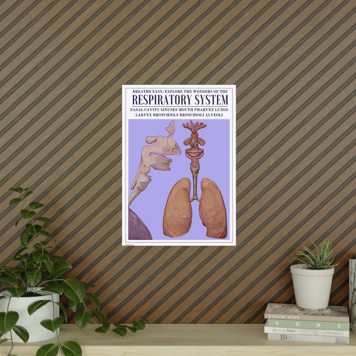 The Respiratory System Poster