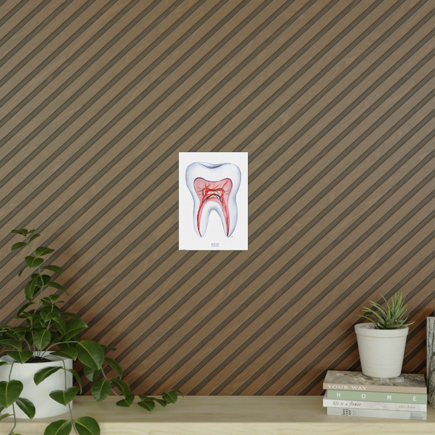 Vintage Molar Tooth Poster