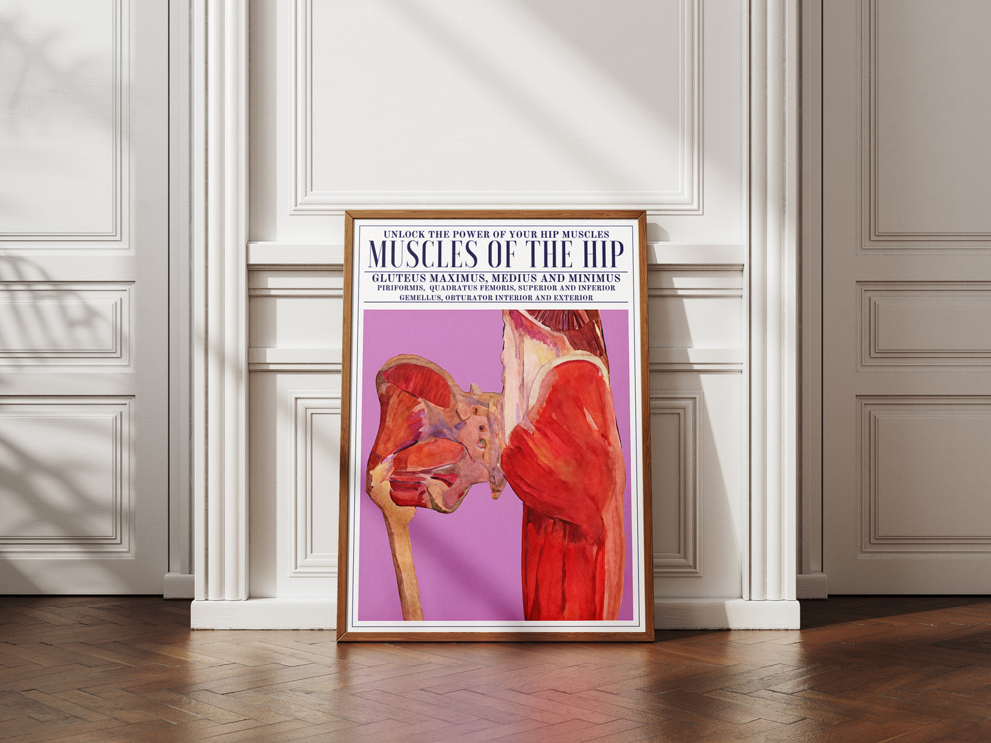 The Hip Muscles Poster