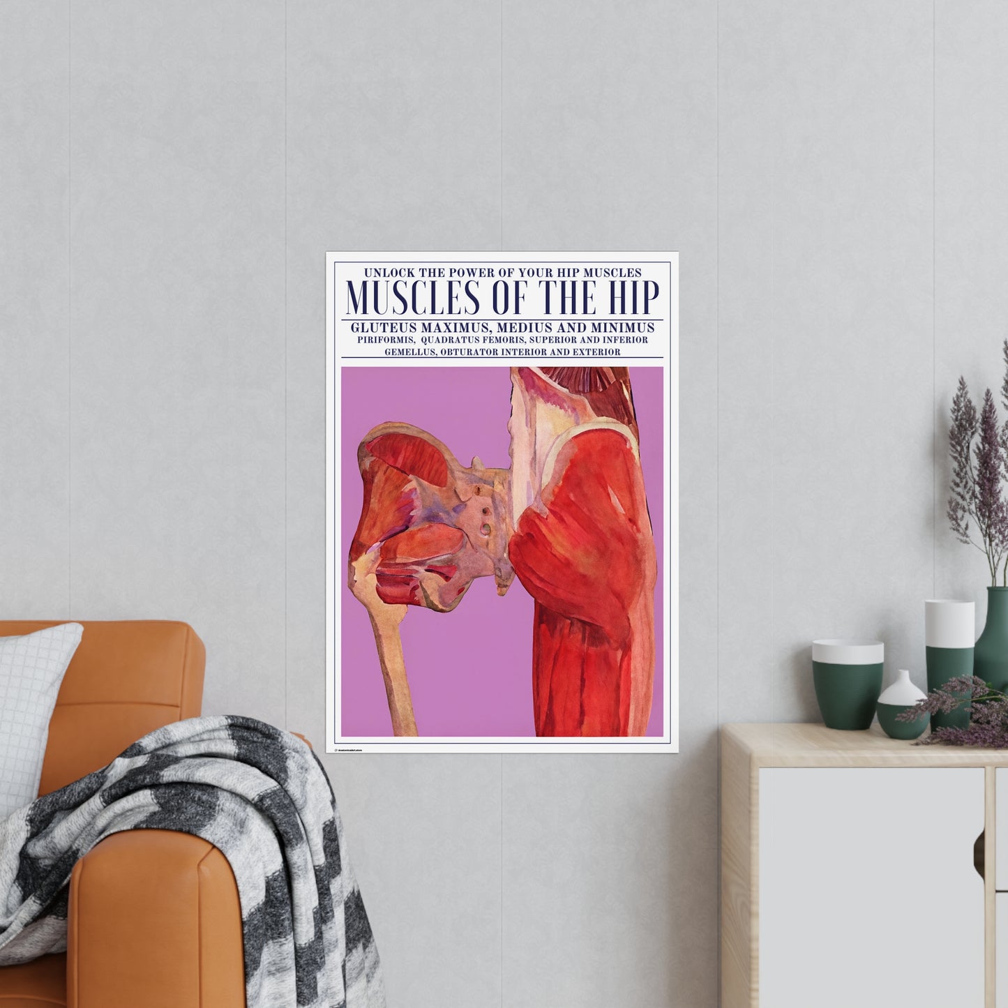 The Hip Muscles Poster