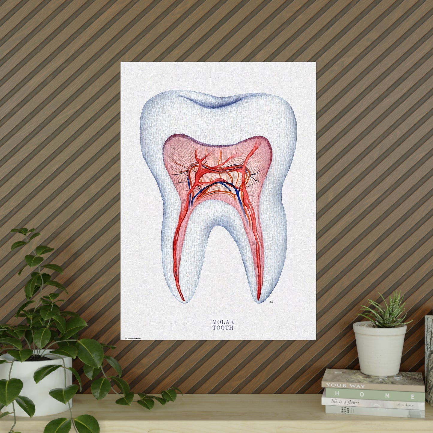 Vintage Molar Tooth Poster