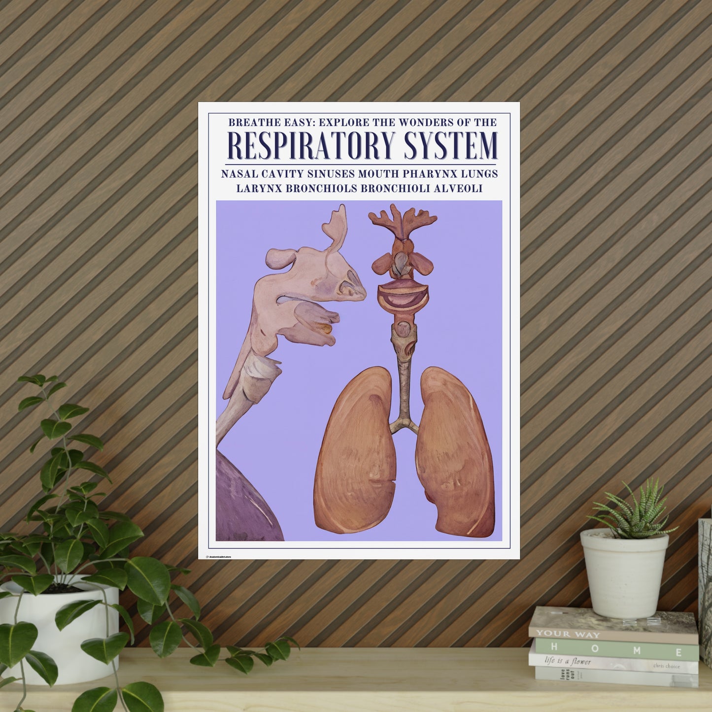 The Respiratory System Poster