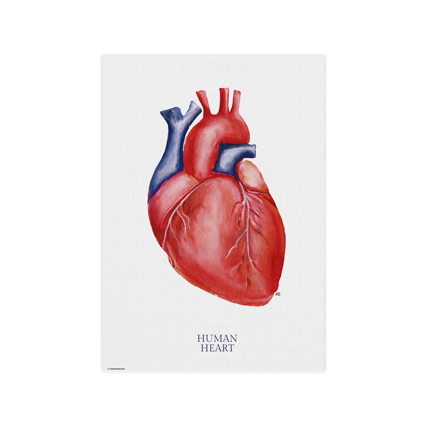 Vintage Heart Poster