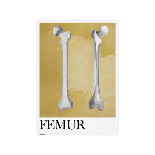 The Femur Poster