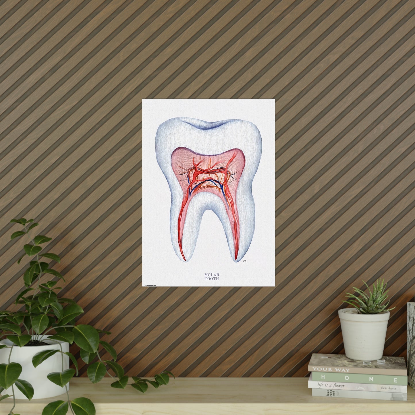 Vintage Molar Tooth Poster