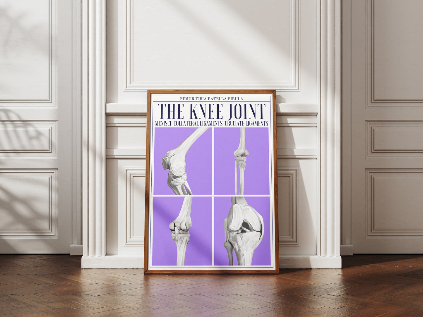 The Knee Joint Poster