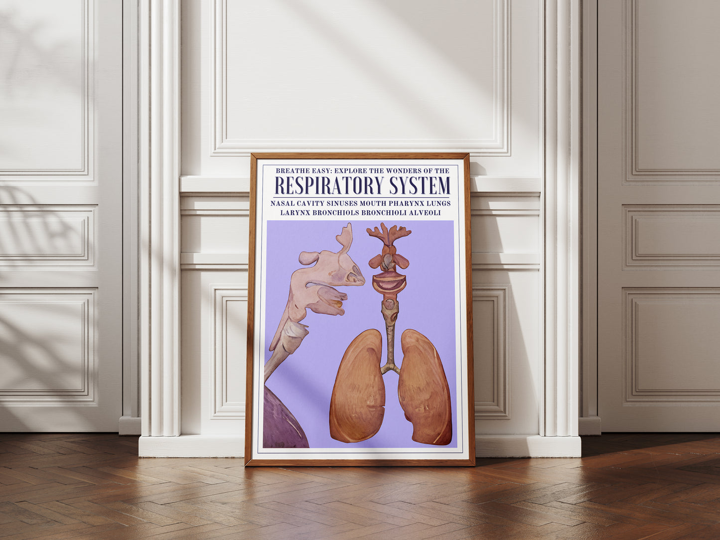 The Respiratory System Poster