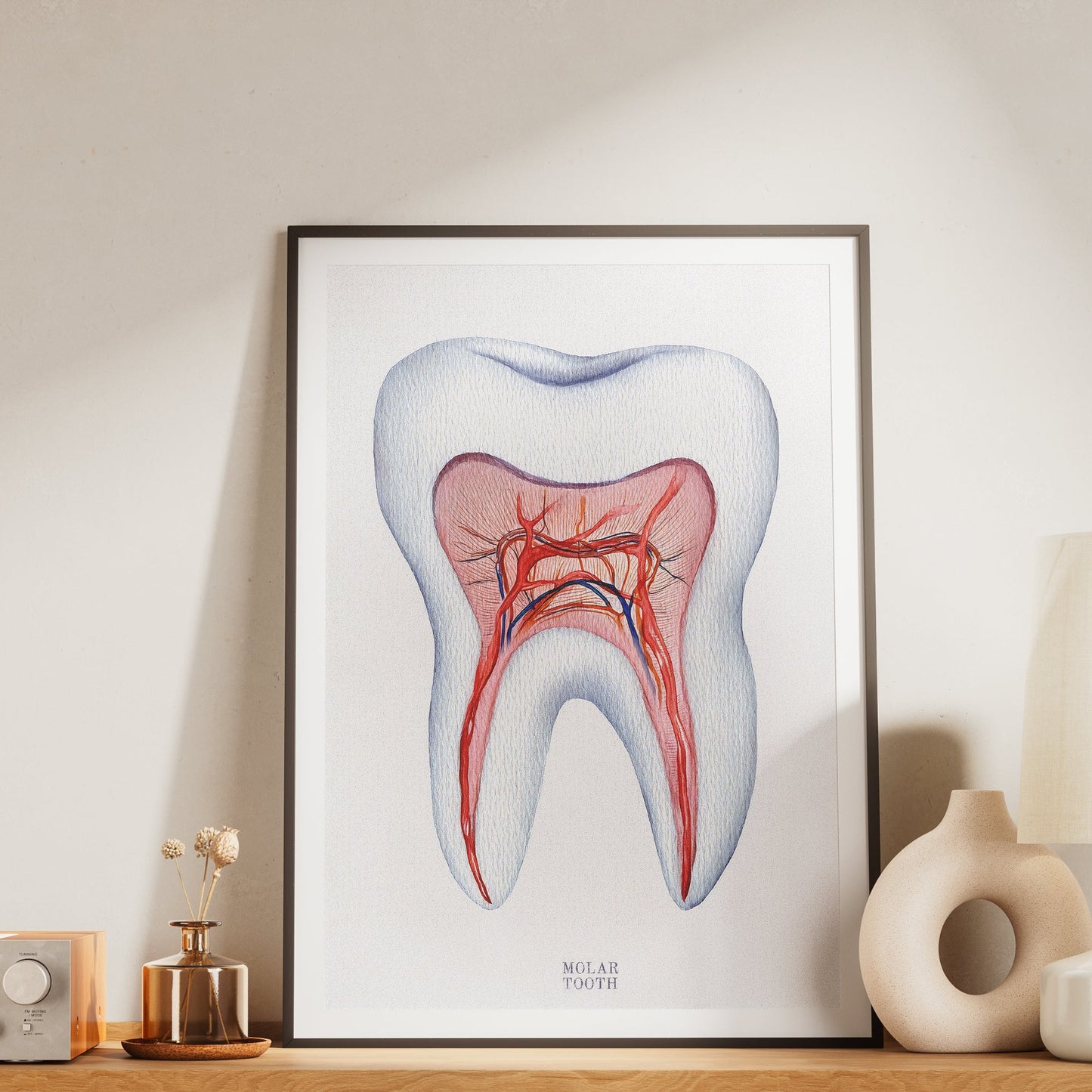 Vintage Molar Tooth Poster